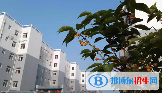 蚌埠經濟技術職業(yè)學院2020年報名條件、招生要求、招生對象