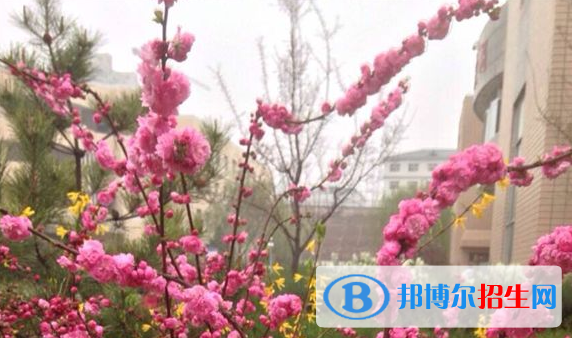 神木四中2020年學(xué)費(fèi)、收費(fèi)多少