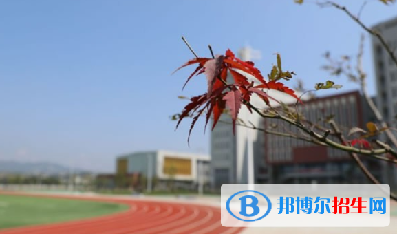 安康中學(xué)2020年報(bào)名條件、招生要求、招生對象