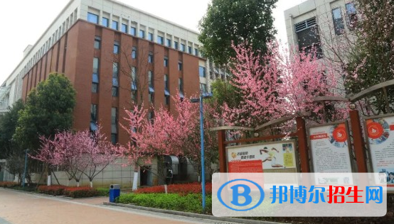 綿陽富樂國際學(xué)校小學(xué)部怎么樣、好不好