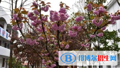 張灘高級中學(xué)2020年招生計劃