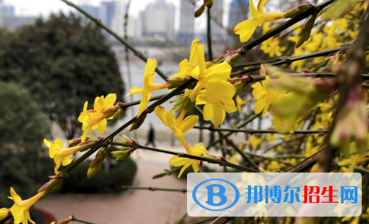  安康第二中學(xué)2020年學(xué)費(fèi)、收費(fèi)多少
