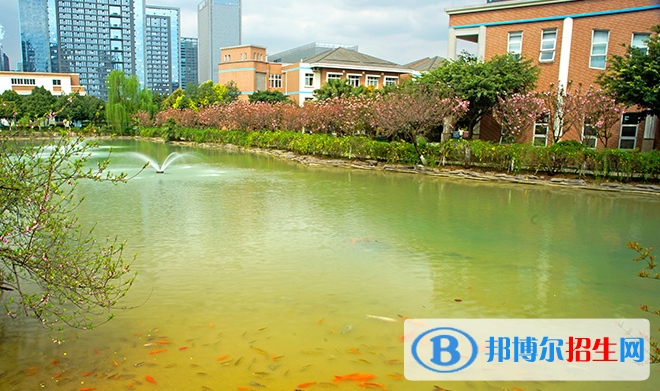 成都美視國際學校小學部怎么樣、好不好