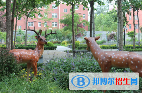 石家莊實驗中學2020年招生代碼