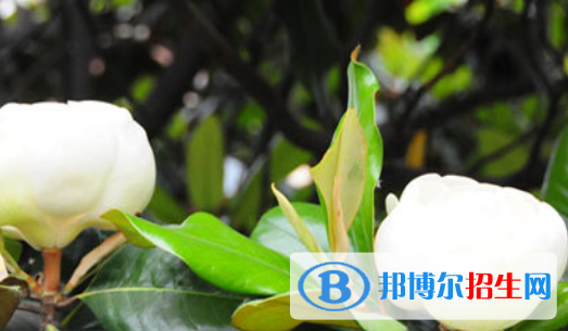 淮北煤炭管理干部中等專業(yè)學(xué)校怎么樣、好不好