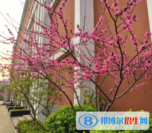 石家莊師大實驗中學(xué)2020年招生代碼