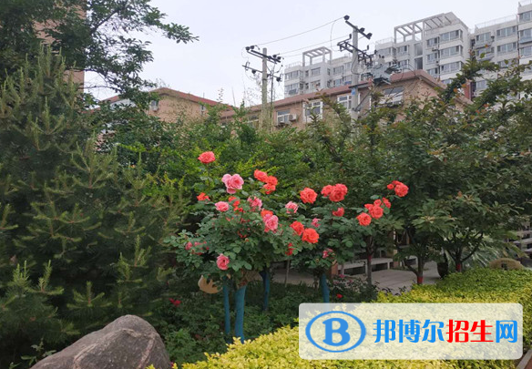 石家莊四十中學(xué)2020年報(bào)名條件、招生要求、招生對象