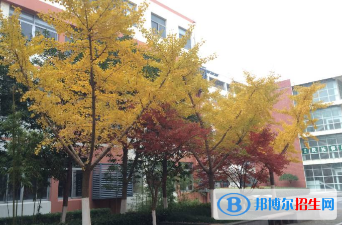 蘇州高新第一中學(xué)2020年招生簡章