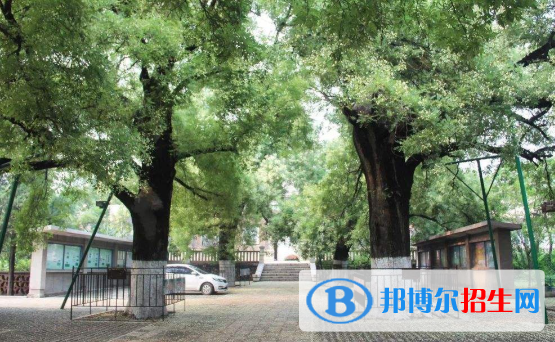 河北車軸山中學怎么樣、好不好