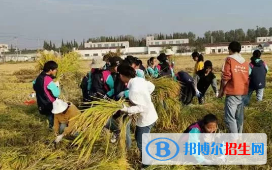 江蘇宜興高級(jí)中學(xué)2020年學(xué)費(fèi)、收費(fèi)多少