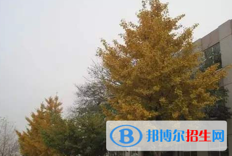  樂亭縣第二中學(xué)怎么樣、好不好