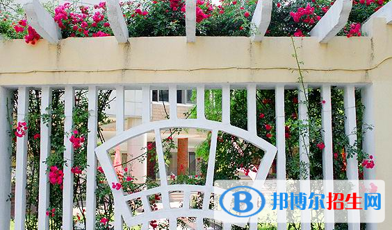 南京第五中學(xué)2021年招生計(jì)劃
