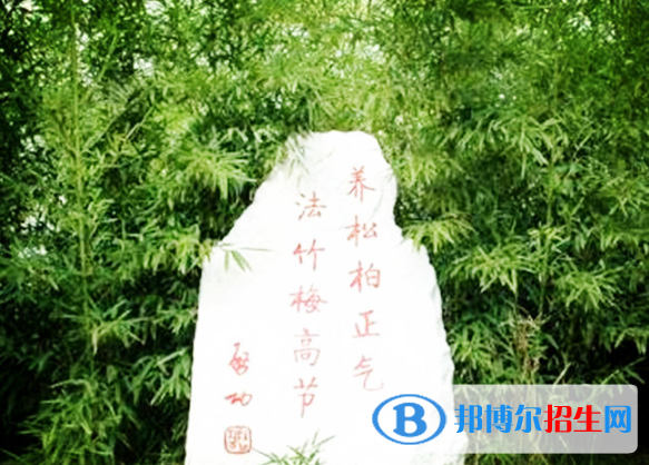 河北峰峰春光中學怎么樣、好不好