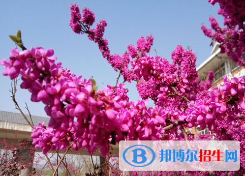 涉縣第一中學(xué)2021年報(bào)名條件、招生要求、招生對(duì)象