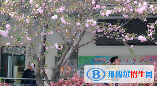 南京師范大學附屬揚子中學2021年學費、收費多少