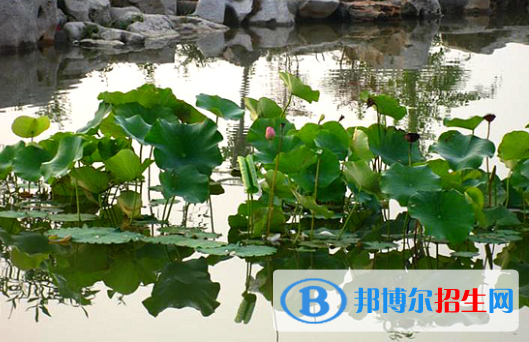 磁縣第一中學網(wǎng)站網(wǎng)址