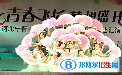 河北寧晉中學2021年招生簡章