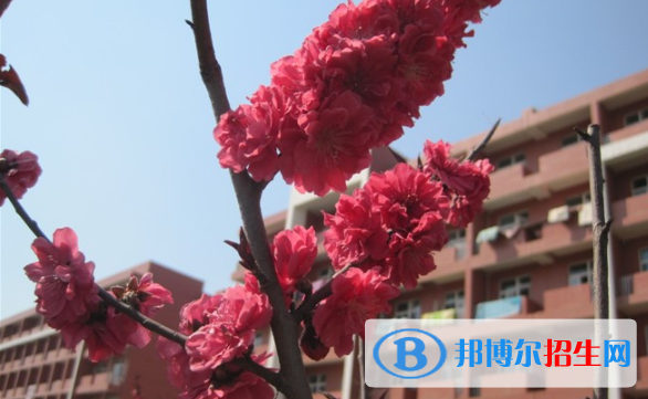 沙河第一中學(xué)2021年報(bào)名條件、招生要求、招生對(duì)象
