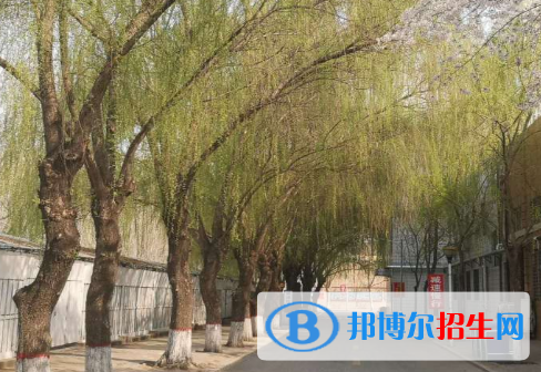 徐水綜合高中2021年學(xué)費、收費多少