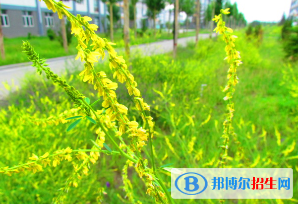 張北縣第一中學(xué)2021年怎么樣、好不好