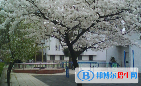 南京第九中學震旦校區(qū)2021年招生代碼