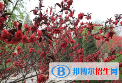 河北沙城中學怎么樣、好不好