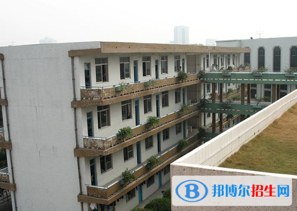 廣州沙滘中學網站網址 
