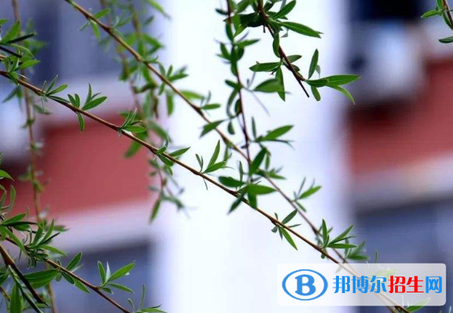 廣州第十七中學(xué)怎么樣、好不好