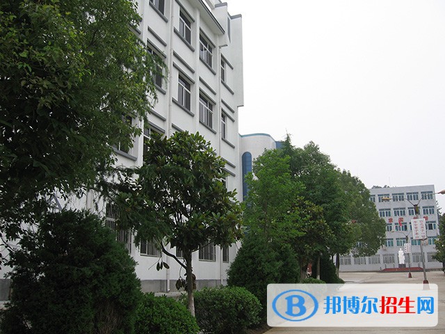 安徽行知學(xué)校2021年招生錄取分數(shù)線