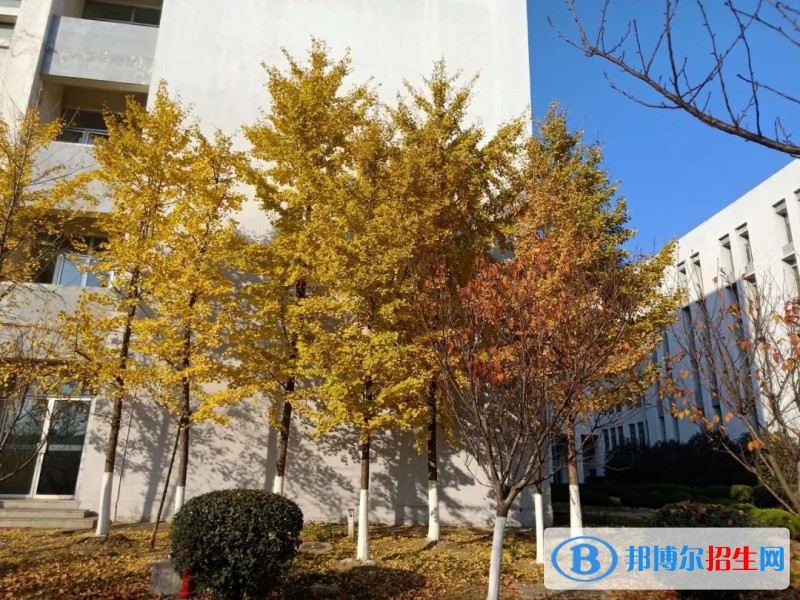 安徽省宿州逸夫師范學(xué)校怎么樣、好不好
