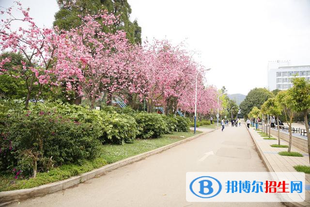 云南聯(lián)合經(jīng)濟學校2021年錄取分數(shù)線