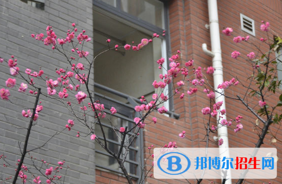 成都七中萬達學(xué)校