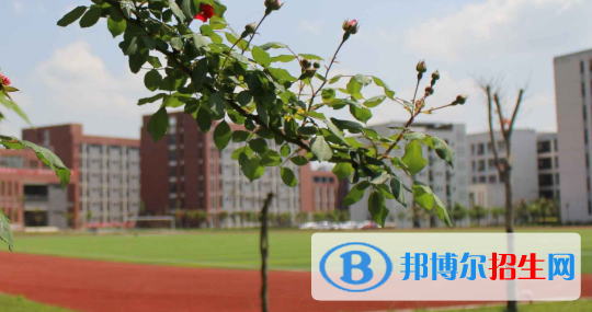 金堂縣職業(yè)高級中學(xué)怎么樣、好不好