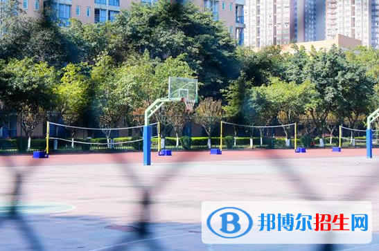 成都七中實驗學校網(wǎng)站網(wǎng)址