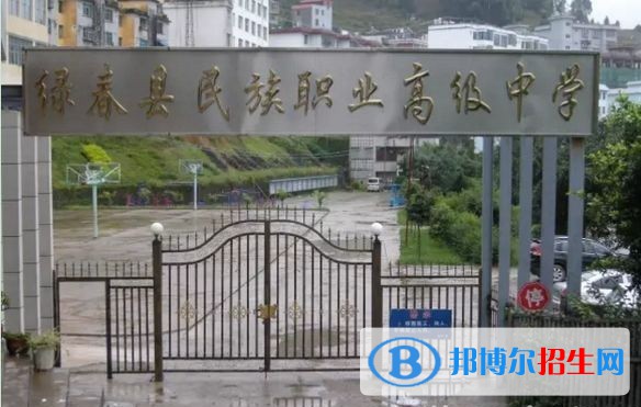 綠春縣民族職業(yè)高級中學2021年錄取分數(shù)線