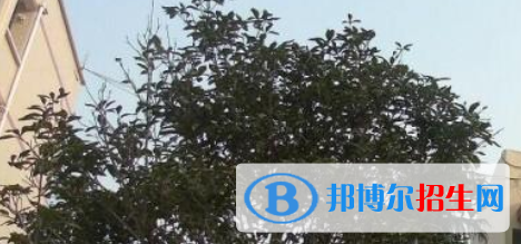 威遠(yuǎn)縣東方職業(yè)技術(shù)學(xué)校怎么樣、好不好