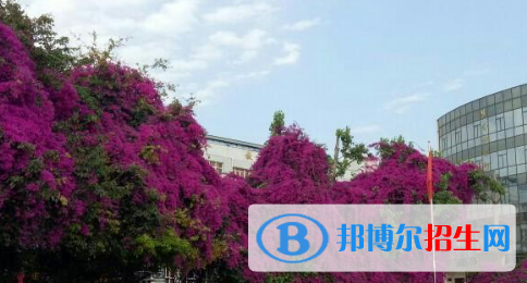 成都華大醫(yī)藥衛(wèi)生學(xué)校怎么樣、好不好