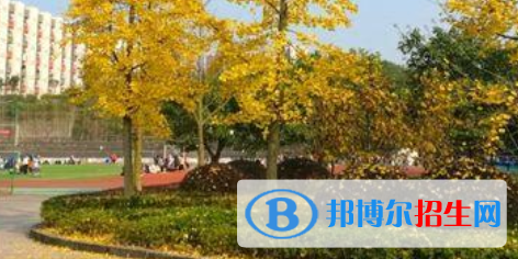 四川育英醫(yī)養(yǎng)科技技工學(xué)校怎么樣、好不好