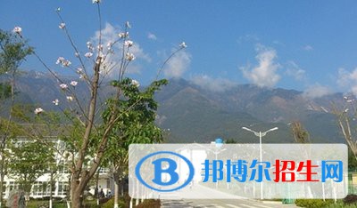 大理農林職業(yè)技術學院五年制大專為幾專