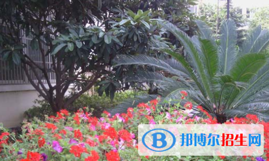 臨泉縣靖波信息技術(shù)學(xué)校怎么樣、好不好