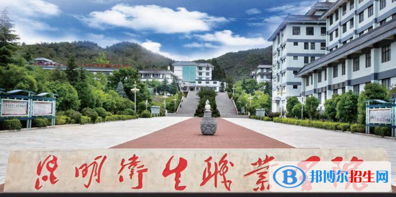 云南2021年高等衛(wèi)校大專(zhuān)學(xué)校