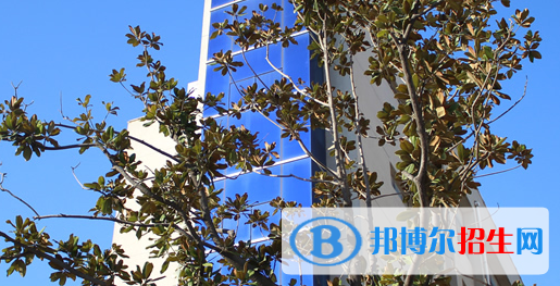 鳳臺縣技工學校網(wǎng)站網(wǎng)址 
