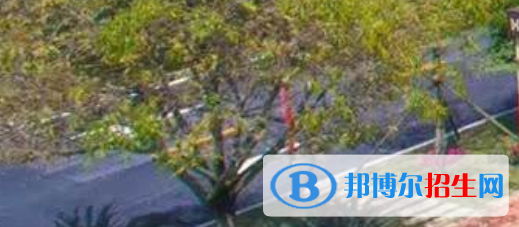 四川2021年中?？梢钥际裁醋C