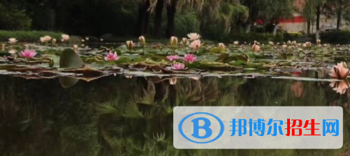 四川2021年初中沒(méi)畢業(yè)可以讀中專嗎