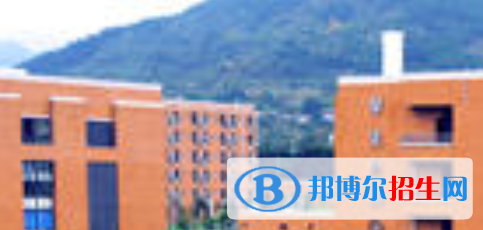 四川2021年電子商務(wù)學(xué)?？梢詫W(xué)什么