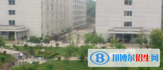 四川2021年計(jì)算機(jī)學(xué)校理論包括什么