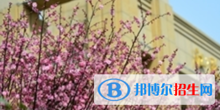 四川2021年200分能上計算機(jī)學(xué)校嗎