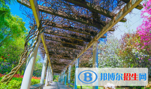 貴州2022年男孩子中專學(xué)什么專業(yè)好