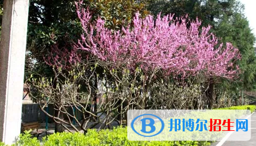 貴陽2022年中專的專業(yè)有哪些