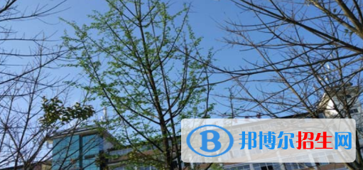 四川現(xiàn)代藝術學校2022年報名條件、招生要求、招生對象